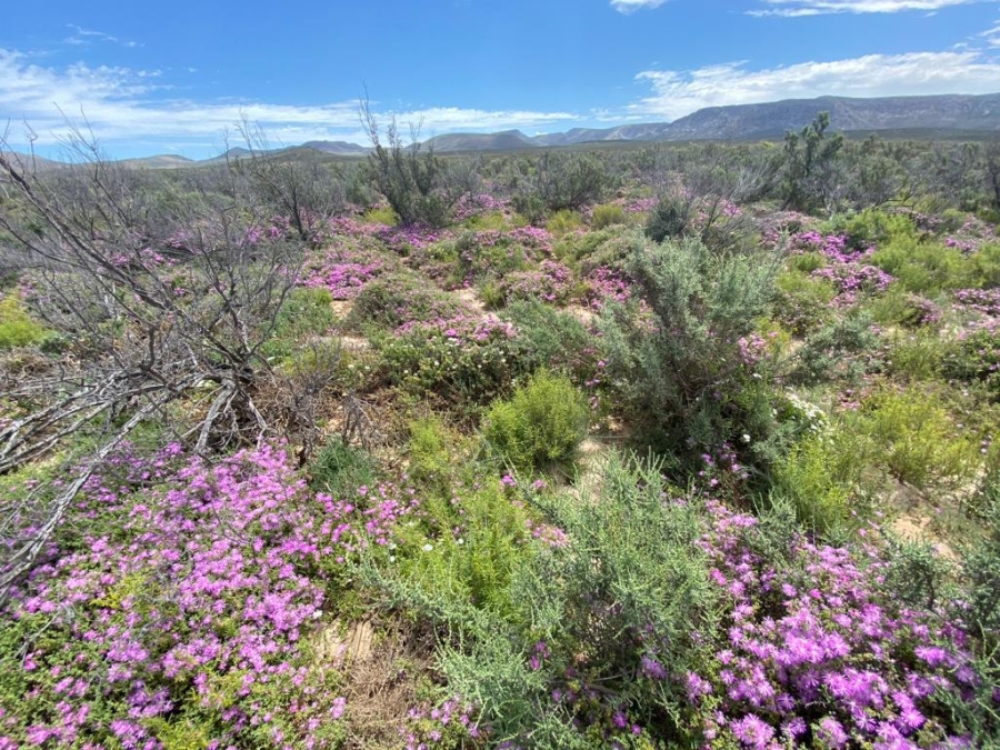 0 Bedroom Property for Sale in Touws River Rural Western Cape